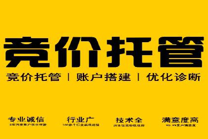成功SEM服务案例：优化广告投放